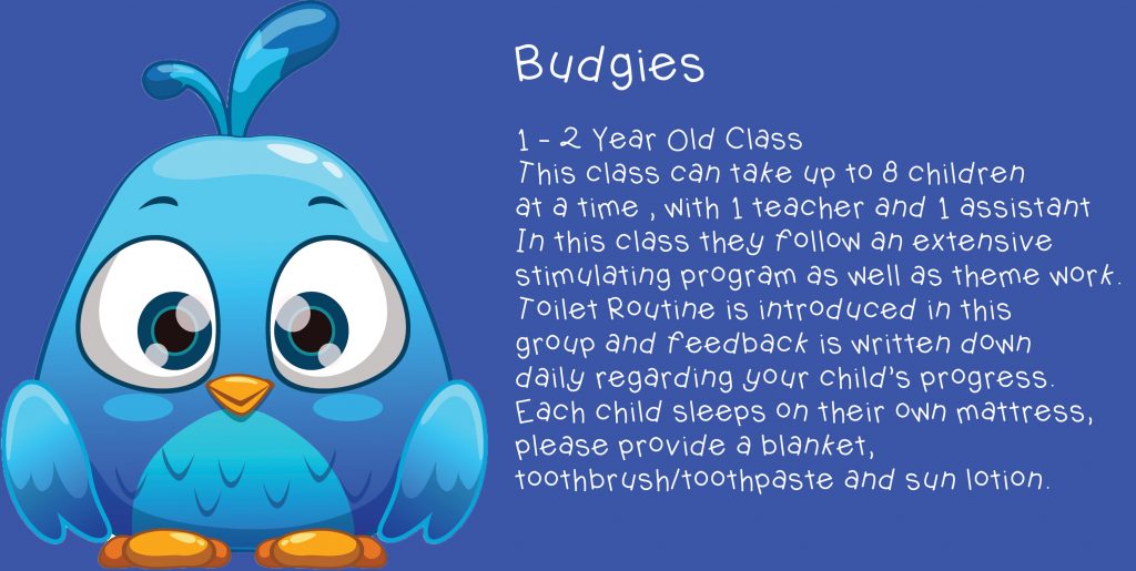 kleuterskool in krugersdorp | kleuterskool in kenmare | goeie kleuterskool