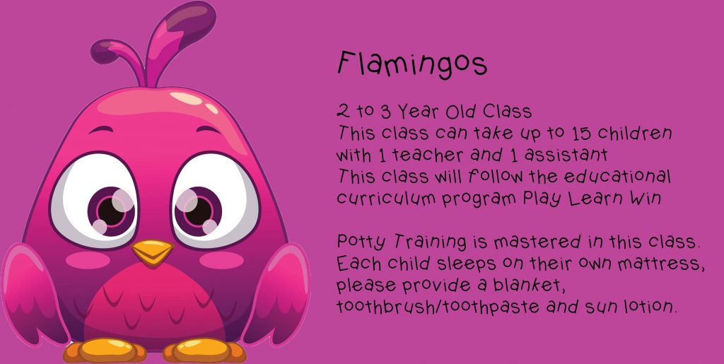 tilly's nest in kenmare | tilly's nest kleuterskool | tilly's nest creche